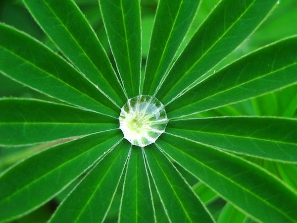 Miércoles 26 de octubre, semana de luna nueva.