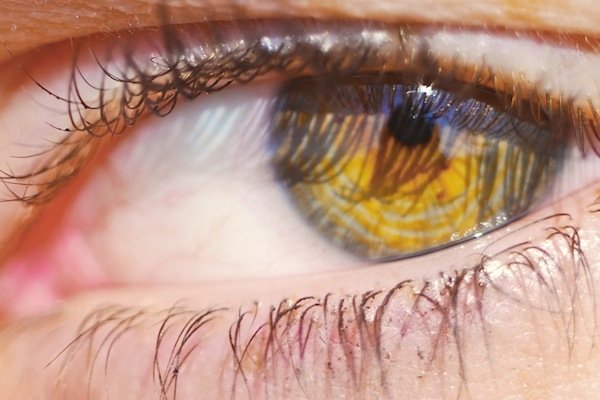 Lunes 12 de diciembre, semana de luna llena.