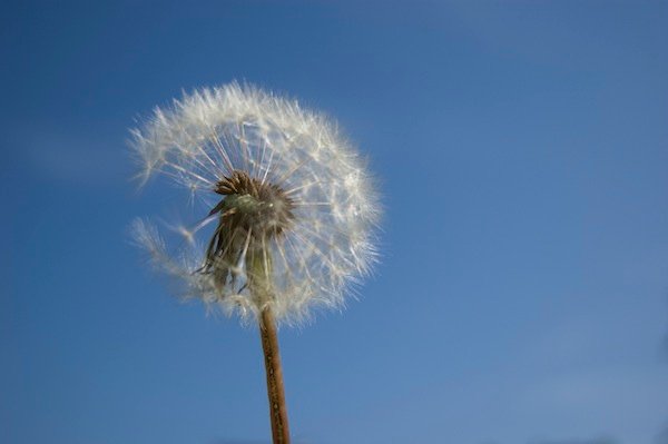 Sábado 18 de febrero. Semana de luna menguante