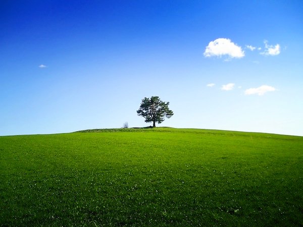 Miércoles 21 de marzo. El eterno presente