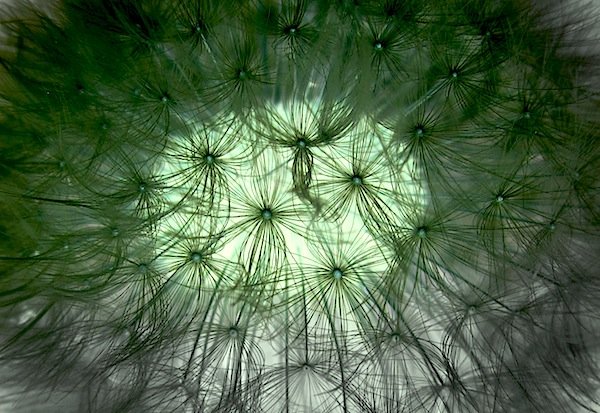 Martes 24 de abril. Nuevas realidades