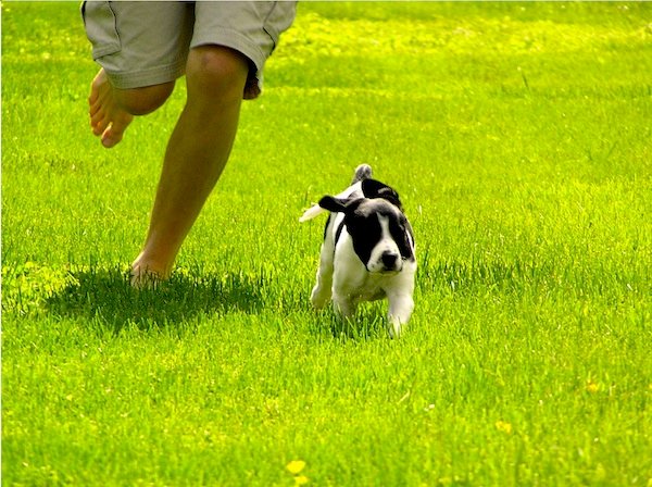 Domingo 8 de abril. ¡No más encierro!