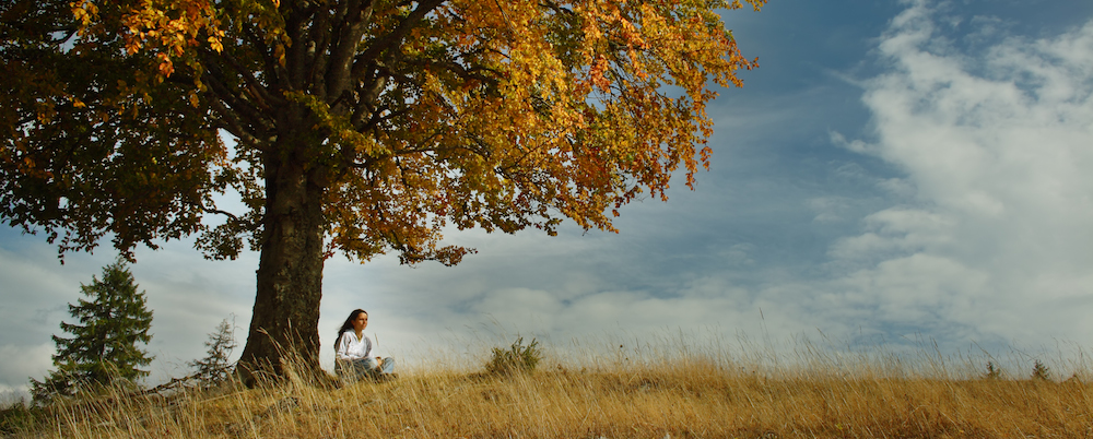 Martes 12 de Noviembre. Equilibrio a través de la meditación.