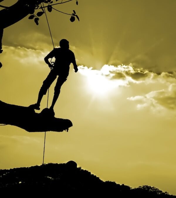 Lunes 28 de noviembre, semana de luna nueva.